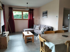 Charmant T3 avec sauna et jardin, à 2 pas du centre, parfait pour familles - FR-1-761-41